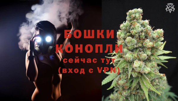 мет Нягань
